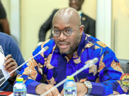 Jostling for NDC flagbearer position: I would have expected the President to crack the whip on his appointees – Agyapa Mercer