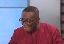 For now we are all throwing our support to the flagbearer Dr Bawumia – Appiah-Kubi