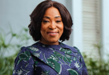 ‘If you cannot afford a passport, I’m humbly asking you not to go for it – Ayorkor Botchwey