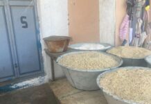 Ban on export of grains premature – Peasant farmers