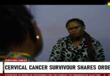 Cervical Cancer and HIV: Calls intensify for a national program to prevent incidence of the disease