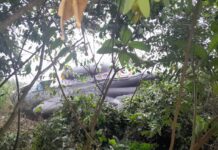 Aircraft believed to belong to the Ghana Armed Forces crashes in Western region