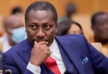 Afenyo-Markin cautions gov’t over neglect of agriculture amid focus on boosting gold reserves