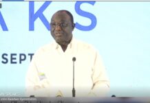 NPP is now made up of kids who talk recklessly – Alan explodes