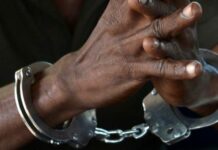 Mother, brother arrested over sale of child exploitation content to Australian