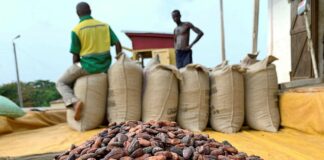 Finance Minister announces new policy to boost local processing of cocoa cocoa