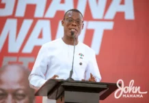 KIA E-Gates project ‘petty’ and ‘mediocre’ – Fifi Kwetey