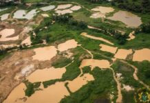 Seven environmental groups to sue gov’t over ‘galamsey’