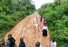 Jomoro MP reshapes Ankasa Forest Reserve road