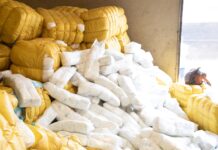 5 persons arrested for importation of substandard baby diapers