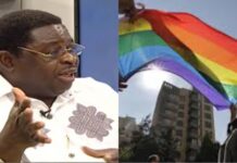 Anti-gay bill: Promoters of LGBTQ should have themselves to blame for passage – Abu Sakara