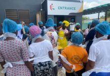 NEIP to train 5,000 Kayayei by December