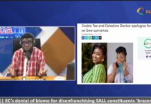 Go easy on Celestine Donkor; it was a harmless joke- Entertainment critic tells netizens
