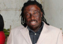 Renowned herbalist calls on Food and Drugs Authority to crackdown on fake herbal medicines