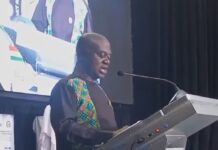 National Development Planning Commission launches vision 2057