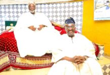 Ya-Na prays for Bawumia to be president