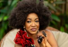 There’s nothing wrong with creatives endorsing political parties – Akofa Edjeani