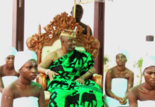 Nii Teiko Tsuru II calls for unity among Ga chiefs
