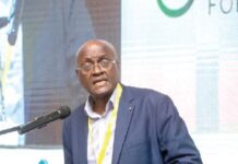 BoG losses: Banking consultant Atuahene calls for suspension of fiscal responsibility law