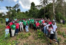 Over 2,000 trees planted to protect Barekese Dam