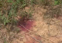 One shot dead, three injured after land guards attack construction workers at Tebu