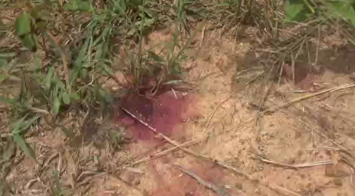 Tebu death