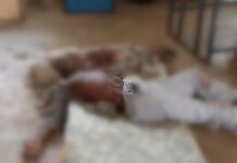 S/R: Surge in human killings in Bole: Who is next before authorities take action? A question for the gods?