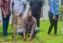 Green Ghana Day: COCOBOD employees support initiative to combat climate change