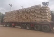 GH¢128 Cocoa Producer Price per bag will lead to smuggling – Concerned cocoa farmer