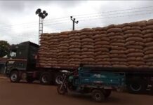 Bia West – WN/R: Police intercept 800 bags of cocoa being smuggled into neighbouring Ivory Coast