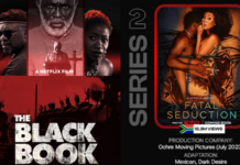 Nigeria and South Africa lead African countries for most watched movies/series on Netflix in 2023