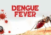 GHS declares outbreak of dengue fever, confirms 9 cases in Eastern Region