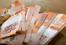 The cedi’s quiet struggle: Is Ghana’s forex stability built to last? – IMANI quizzes