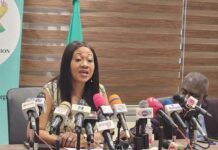 2024 polls: Institutions are not perfect, audit electoral roll for a win-win – Political marketing strategist tells EC
