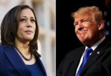Reflections on the 2024 US elections