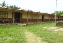 Teachers at Tuanikope Basic School don’t go to school on Tuesdays and Fridays due to transportation challenges