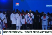 No president has developed Ghana more than Akufo-Addo; not even your Nkrumah – Opoku Prempeh
