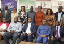Stakeholders call for strong electricity supply market to harness demand in West Africa