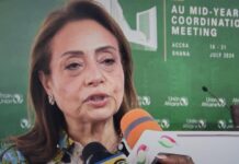 AU member states approve strategy for AI and a digital compact