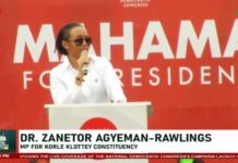 Human capacity is key if we’re to get a handle on how AI is used within our jurisdiction – Zanetor