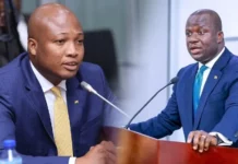 Xenophobic attacks: Minority tells Ablakwa to focus on evacuation, not PR