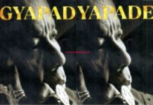 ‘Agyapadeɛ’ document was hatched in 2007 – Fmr. Ghana’s Ambassador to US alleges