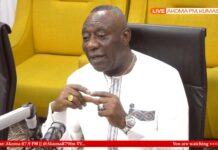 Election 2024: Former EPA boss urges NPP to work hard to ‘break the 8’