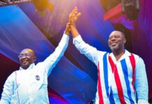 The NPP manifesto launch: Possible promises