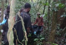 Assin South: 26-year-old farmer in police grips for killing friend in Kakum Forest Reserve