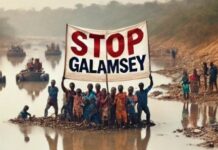 Galamsey fight: Former Minerals Commission boss calls for repeal of L.I. granting permit into mining in forest reserves