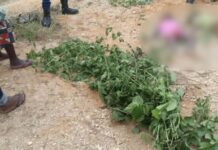C/R: Abandoned ‘galamsey’ pit swallows twins at Morkwa near Twifo-Praso