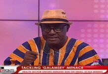 Fighting ‘galamsey’ will be very difficult until the youth are provided jobs – Ohene Ntow