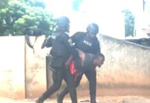 Adam Bonaa commends police’s handling of Democracy Hub protestors
