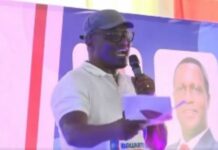 Ayew Afriyie is a nation wrecker – Kwame Pianim takes on NPP MP over ‘galamsey’ comments